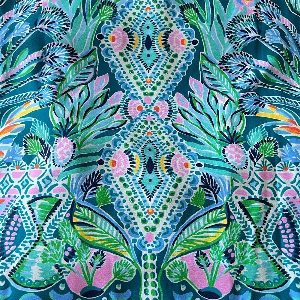 Lilly Pulitzer dress  - Picture 7 of 12